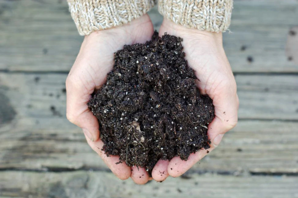 Let's Get Composting: A Guide to Starting Your Eco-Friendly Home Compost