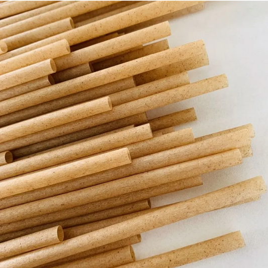 Sugarcane straws