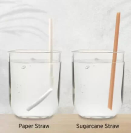 10 reasons why you should make the move from paper to sugarcane.